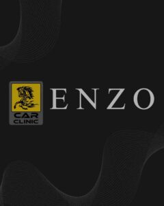 A striking automotive logo featuring a bright yellow square emblem with a black rearing horse illustration alongside elegant silver serif typography on a dark grey background with abstract wavy line patterns, highlighting a local mechanic shop and premium car clinic portfolio feature optimized for custom corporate branding services by MetaBaz.