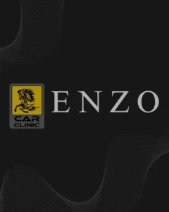 A striking automotive logo featuring a bright yellow square emblem with a black rearing horse illustration alongside elegant silver serif typography on a dark grey background with abstract wavy line patterns, highlighting a local mechanic shop and premium car clinic portfolio feature optimized for custom corporate branding services by MetaBaz.