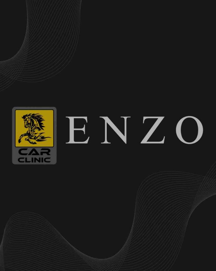 A striking automotive logo featuring a bright yellow square emblem with a black rearing horse illustration alongside elegant silver serif typography on a dark grey background with abstract wavy line patterns, highlighting a local mechanic shop and premium car clinic portfolio feature optimized for custom corporate branding services by MetaBaz.